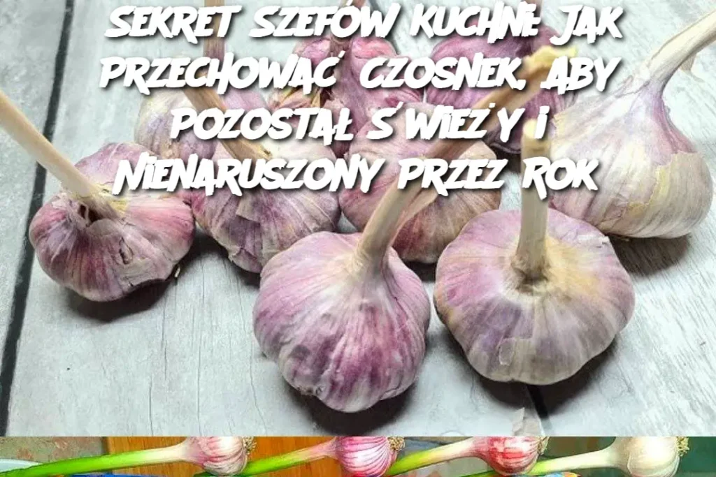 Sekret_Szef_w_Kuchni__Jak_Przechowa__Czosnek__Aby_Pozosta___wie_y_i_Nienaruszony_Przez_Rok Sekret_Szef_w_Kuchni__Jak_Przechowa__Czosnek__Aby_Pozosta___wie_y_i_Nienaruszony_Przez_Rok