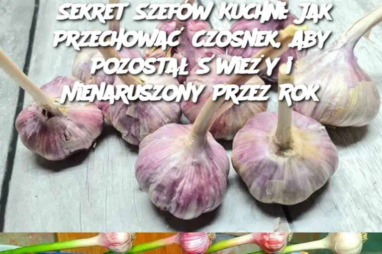 Sekret_Szef_w_Kuchni__Jak_Przechowa__Czosnek__Aby_Pozosta___wie_y_i_Nienaruszony_Przez_Rok