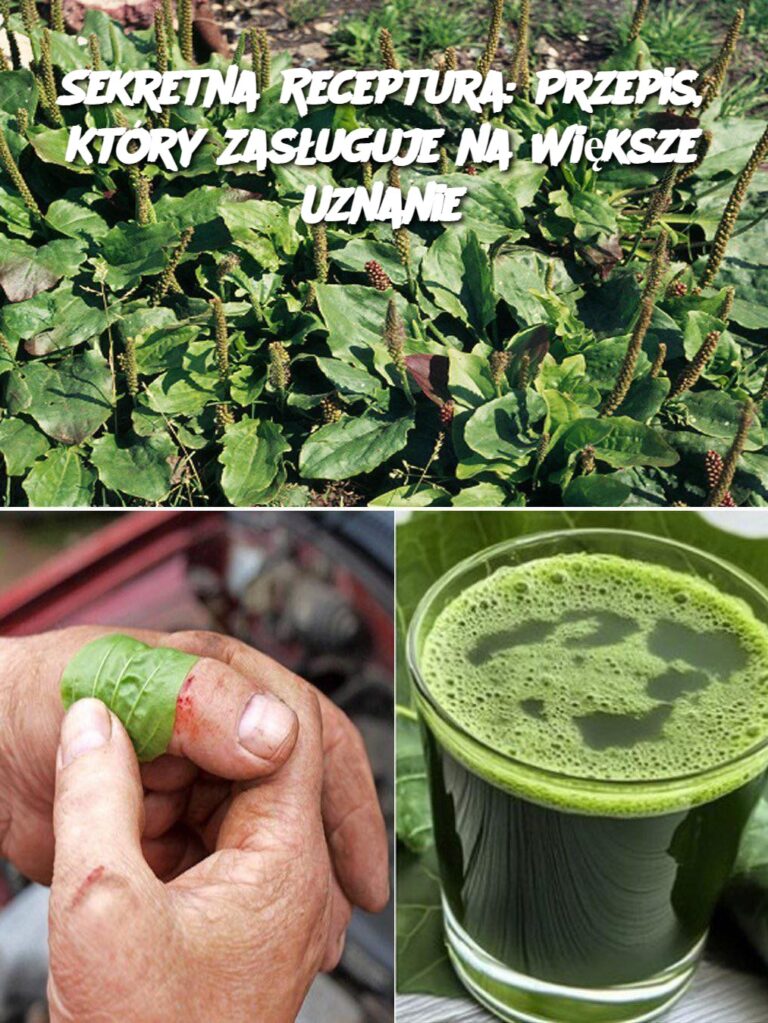 Sekretna_Receptura__Przepis__Kt_ry_Zas_uguje_na_Wi_ksze_Uznanie