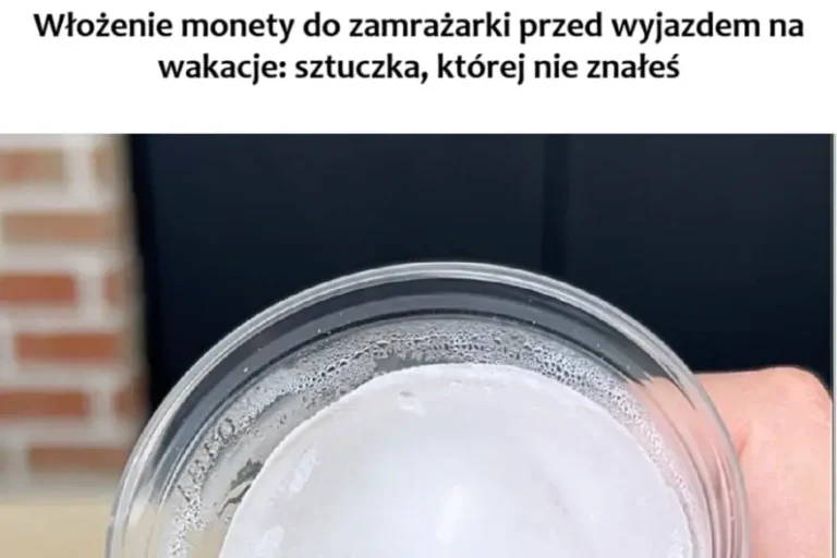 Sekretna_Sztuczka_Przed_Wakacjami__Jak_Moneta_w_Zamra_arce_Mo_e_Uchroni__Ci__Przed_Niespodziankami_-2