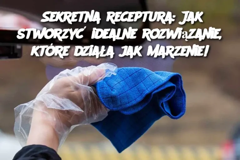Sekretna_receptura__Jak_stworzy__idealne_rozwi_zanie__kt_re_dzia_a_jak_marzenie_-1