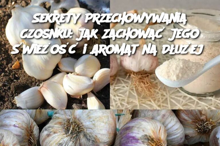 Sekrety_Przechowywania_Czosnku__Jak_Zachowa__Jego__wie_o___i_Aromat_na_D_u_ej