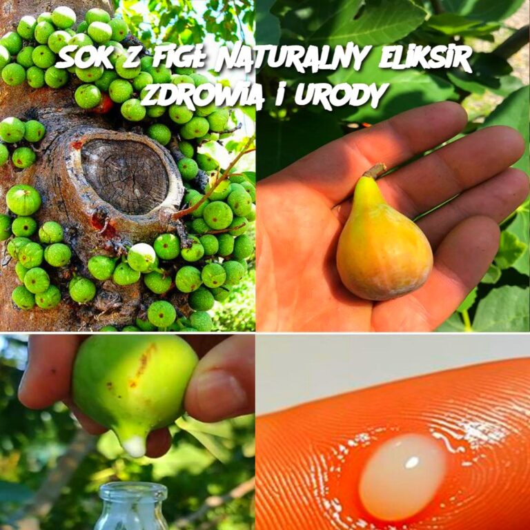 Sok_z_fig__Naturalny_eliksir_zdrowia_i_urody