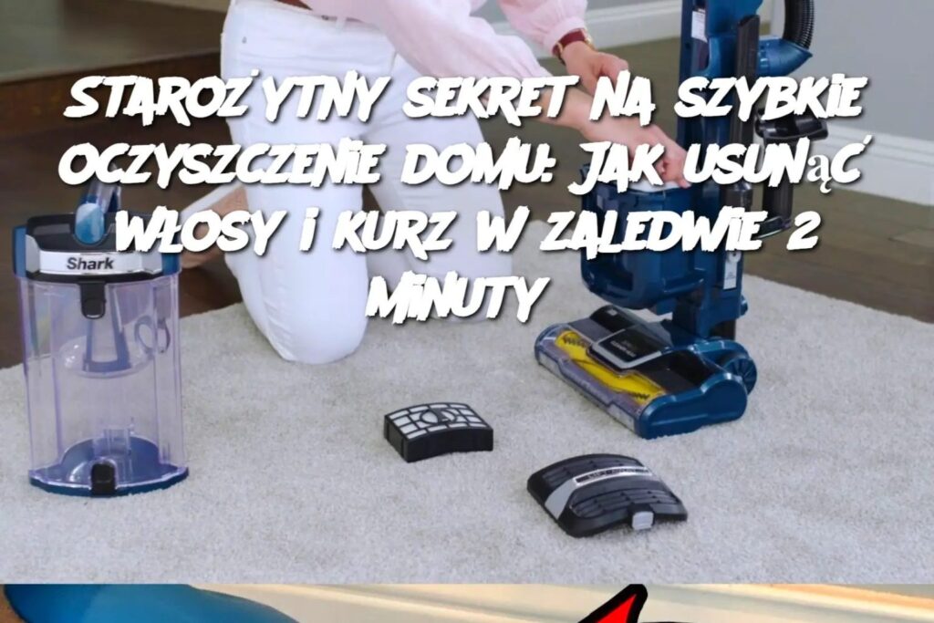 Staro_ytny_sekret_na_szybkie_oczyszczenie_domu__Jak_usun___w_osy_i_kurz_w_zaledwie_2_minuty Staro_ytny_sekret_na_szybkie_oczyszczenie_domu__Jak_usun___w_osy_i_kurz_w_zaledwie_2_minuty