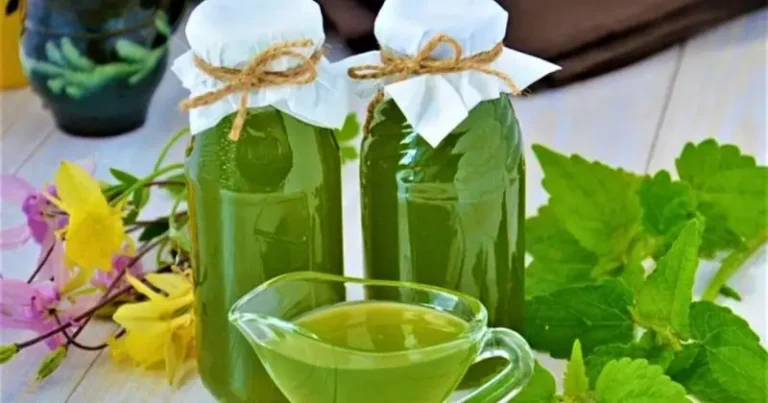 Syrop_mi_towy_wspomaga_trawienie___agodzi_nudno_ci__b_le_brzucha_i_skurcze
