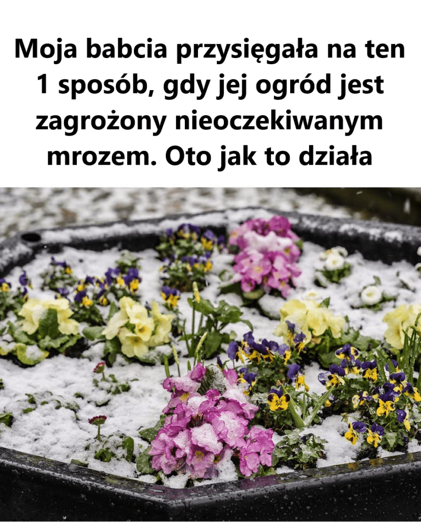 Szkoda___e___nie_dowiedzia_em_si__o_tym_wcze_niej_ Szkoda___e___nie_dowiedzia_em_si__o_tym_wcze_niej_