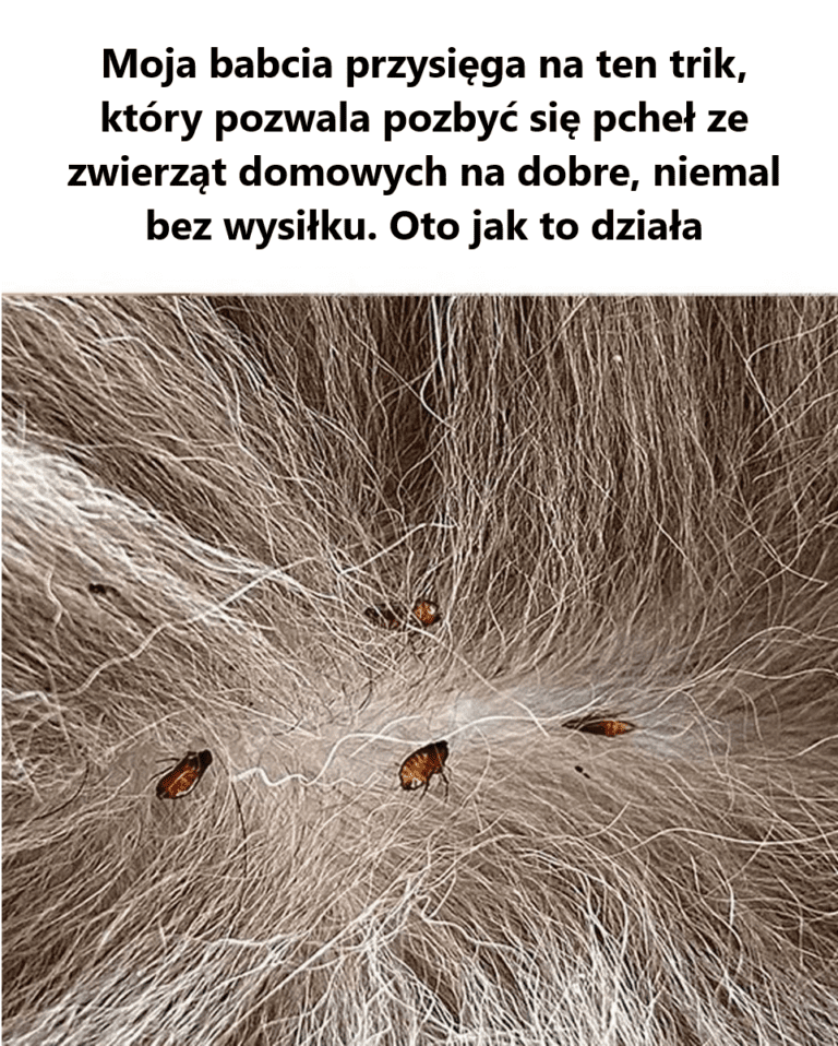 Szkoda___e___nie_dowiedzia_em_si__tego_wiele_lat_temu