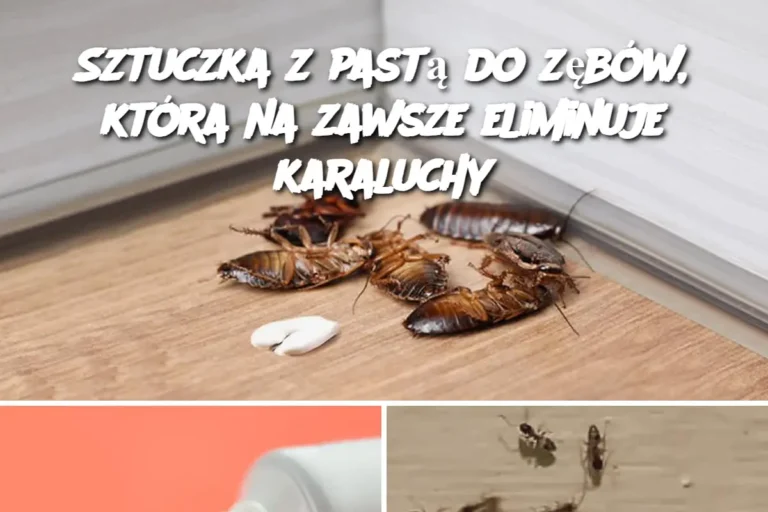 Sztuczka_z_past__do_z_b_w__kt_ra_na_zawsze_eliminuje_karaluchy