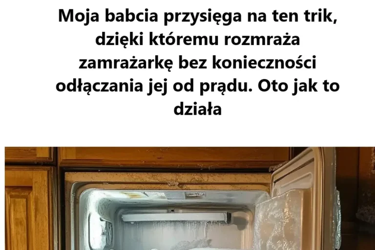 Szybkie_Rozmra_anie_Zamra_arki__Jak_Odmrozi__Urz_dzenie_Bez_Konieczno_ci_Wy__czania