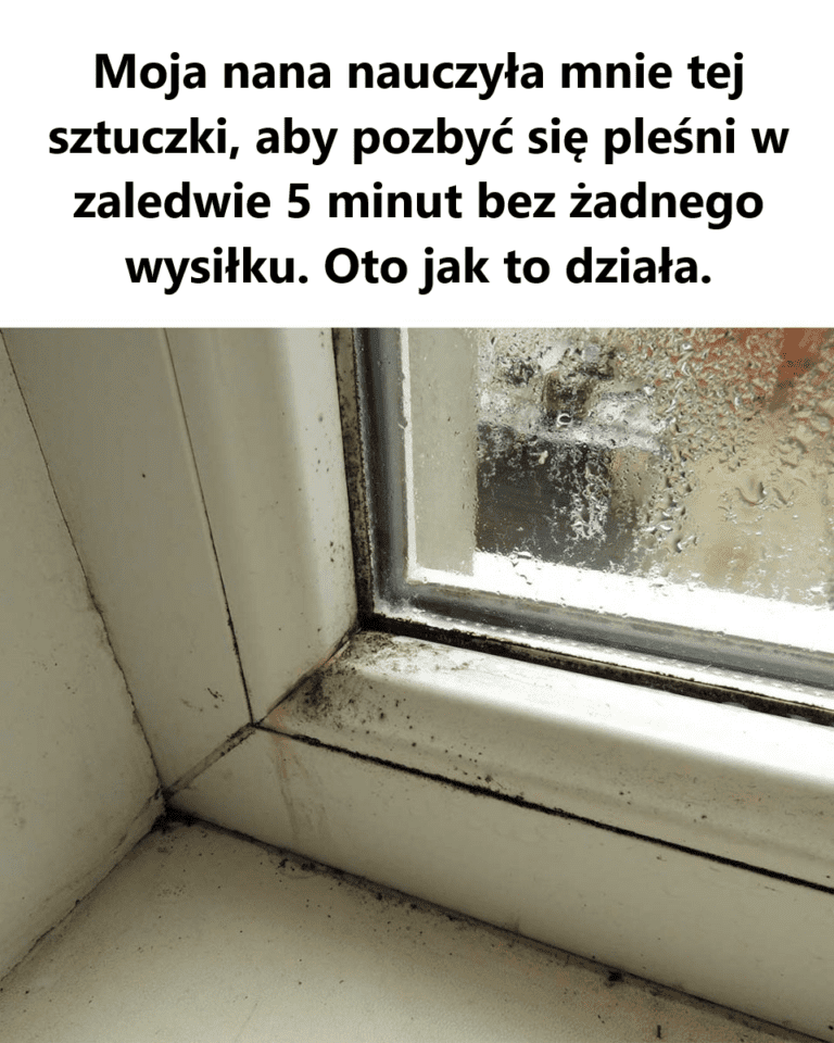 Szybkie_i_skuteczne_usuwanie_ple_ni_za_pomoc__nadtlenku_wodoru