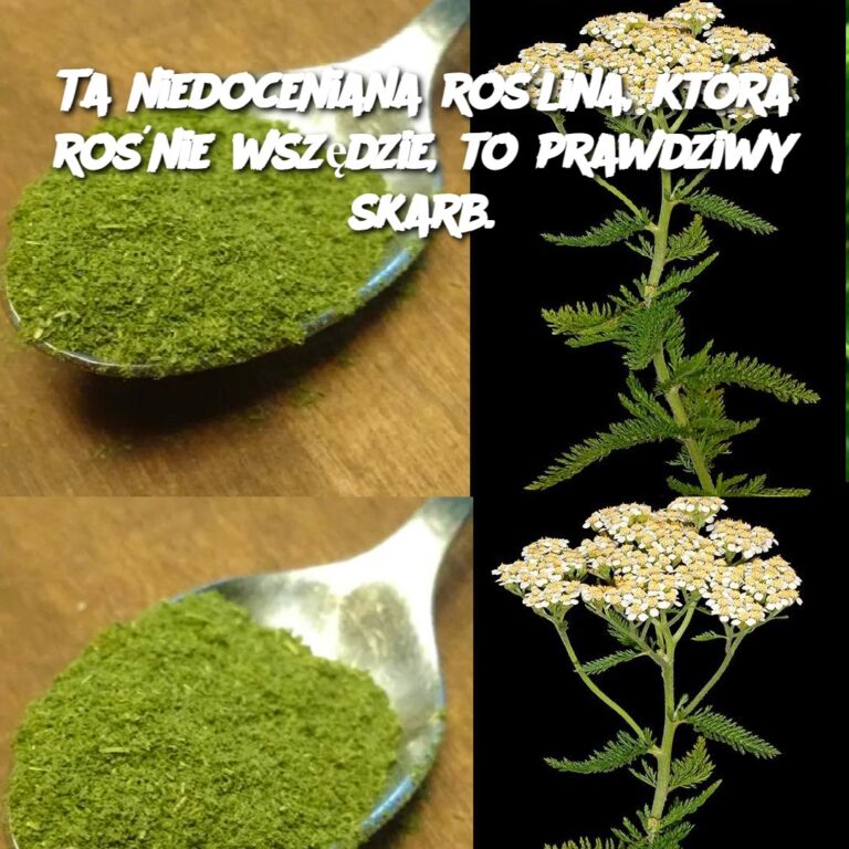 Ta_niedoceniana_ro_lina__kt_ra_ro_nie_wsz_dzie__to_prawdziwy_skarb_