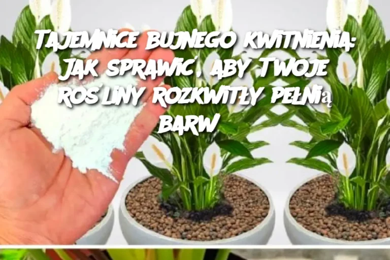 Tajemnice_bujnego_kwitnienia__Jak_sprawi___aby_Twoje_ro_liny_rozkwit_y_pe_ni__barw_