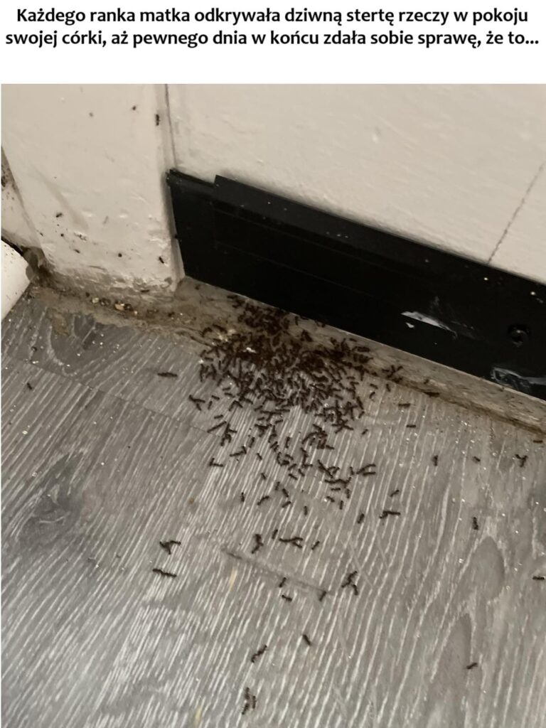 Tajemnicza_Sterta_w_Pokoju_C_rki___Niezwyk_e_Odkrycie_Matki Tajemnicza_Sterta_w_Pokoju_C_rki___Niezwyk_e_Odkrycie_Matki