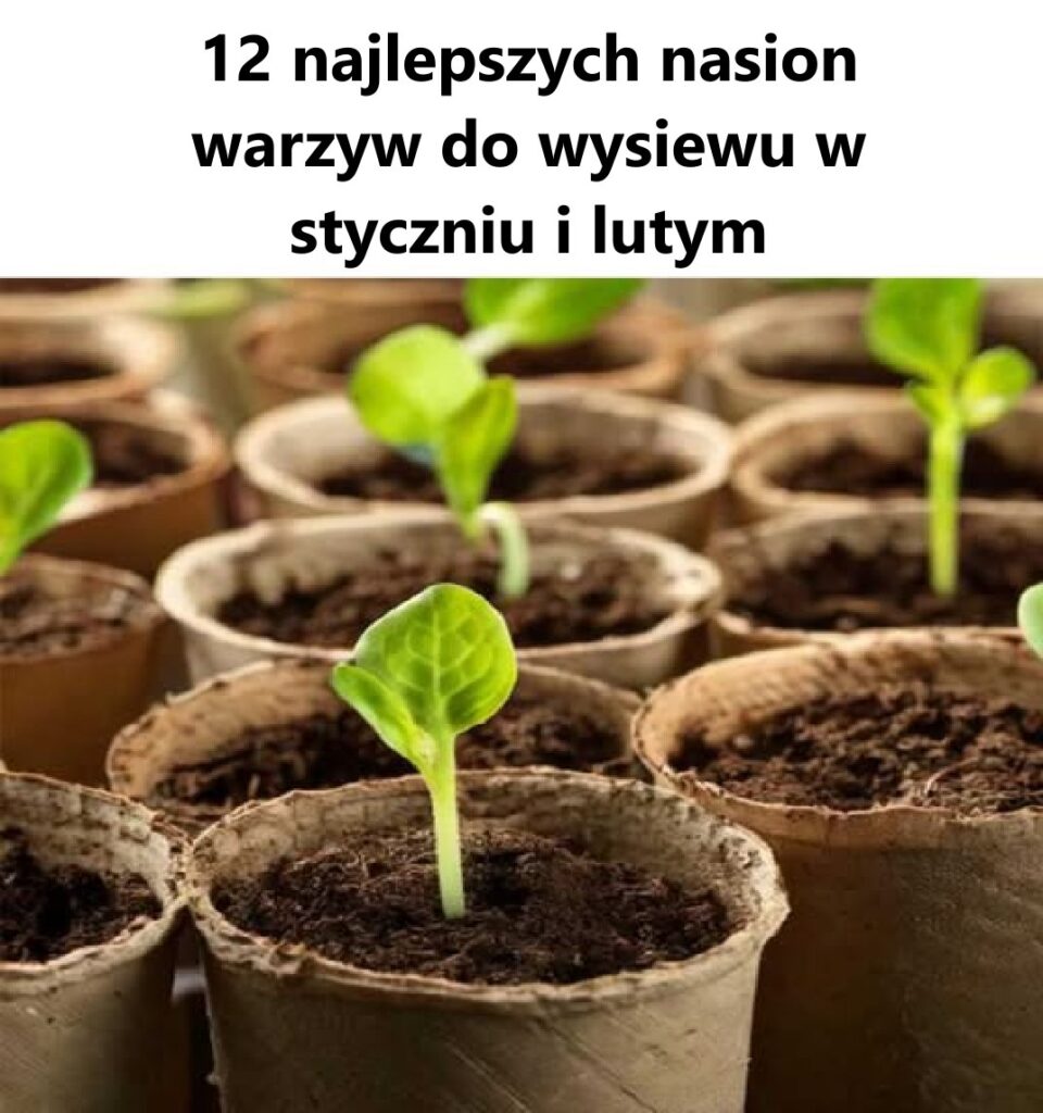 Tak_pouczaj_ce_ Tak_pouczaj_ce_