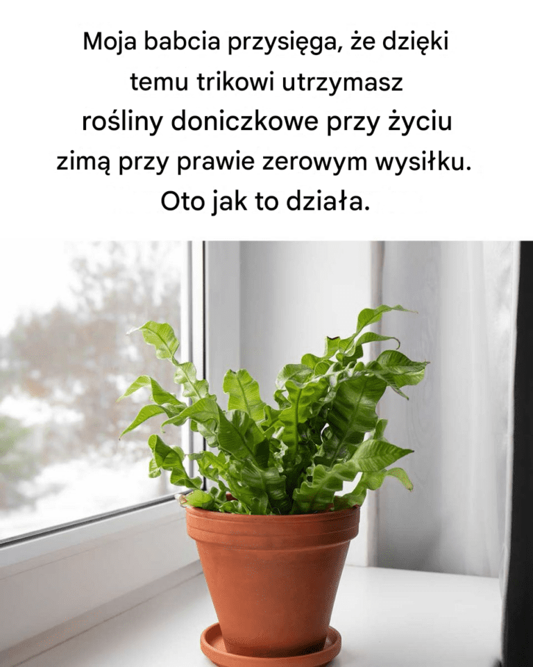 Takie_m_dre_