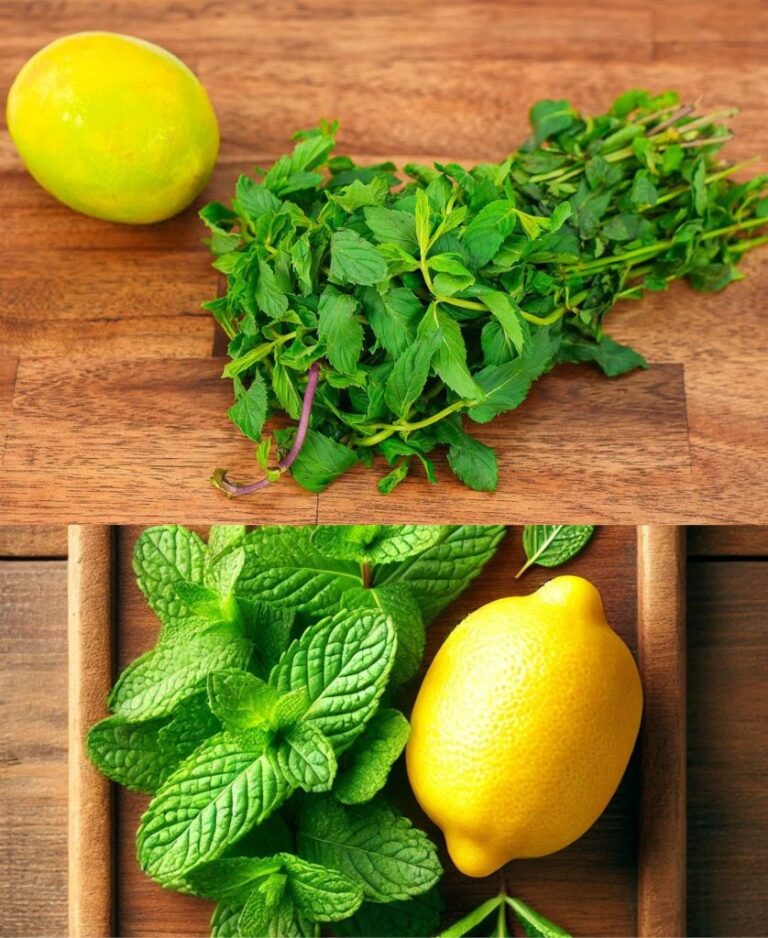 Ten_napar_mi_towy_to_naturalne_i_smaczne_rozwi_zanie-1