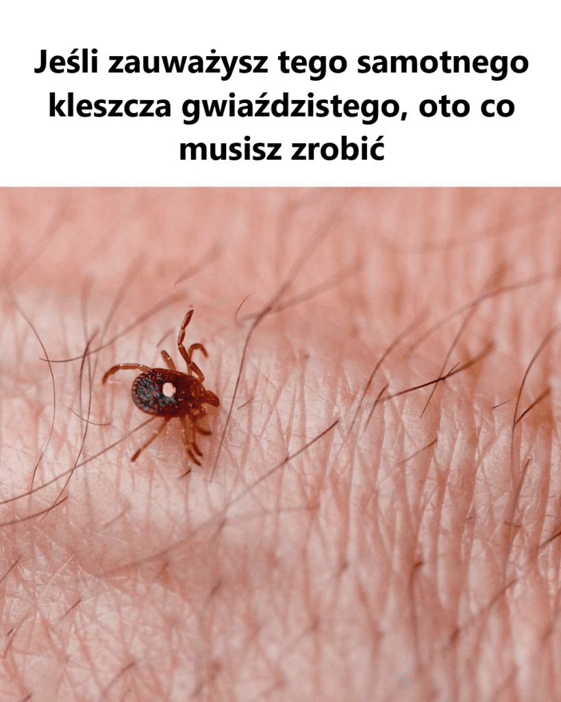 Teraz_musz__sprawdzi___czy_to_jest_w_moim_ogrodzie Teraz_musz__sprawdzi___czy_to_jest_w_moim_ogrodzie