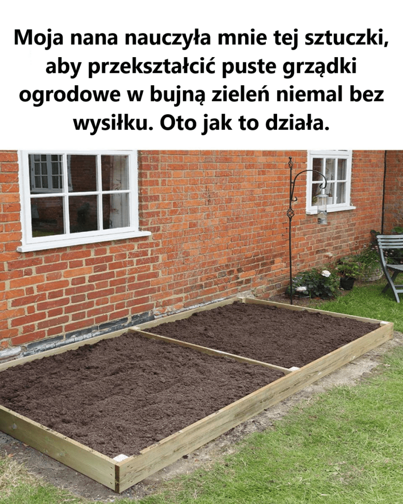 To_jest_dok_adnie_to__czego_szuka_em_ To_jest_dok_adnie_to__czego_szuka_em_