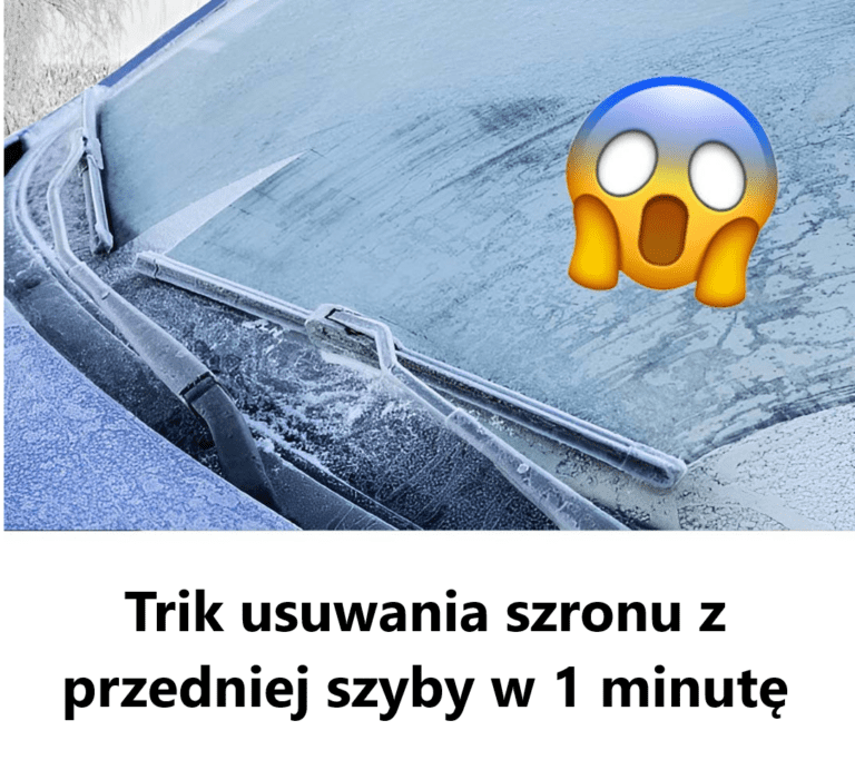 Trik_usuwania_szronu_z_przedniej_szyby_w_1_minut_