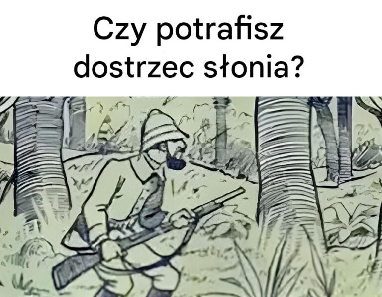 Tylko_1__os_b_potrafi_dostrzec_ukrytego_s_onia_na_tym_zdj_ciu-1