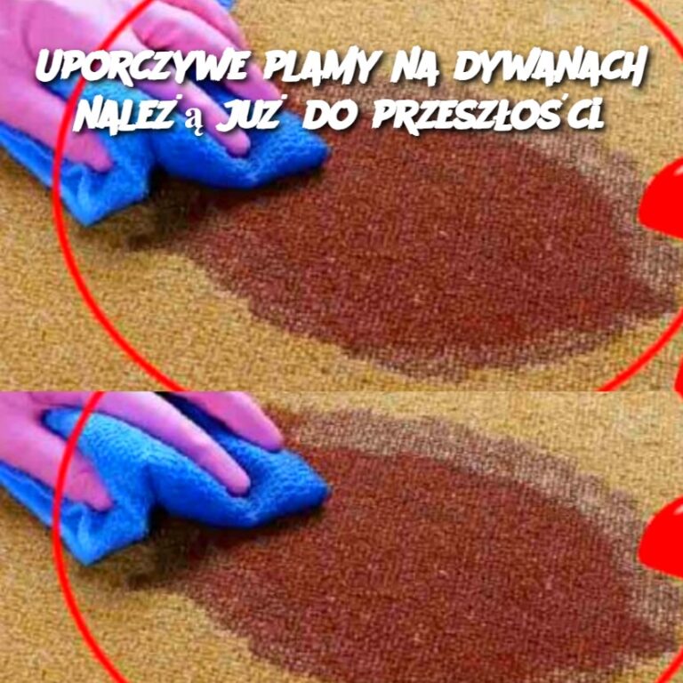 Uporczywe_plamy_na_dywanach_nale___ju__do_przesz_o_ci_
