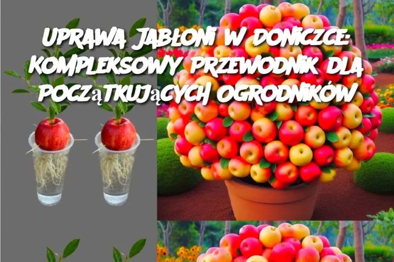 Uprawa_Jab_oni_w_Doniczce__Kompleksowy_Przewodnik_dla_Pocz_tkuj_cych_Ogrodnik_w