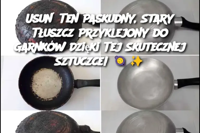 Usu__Ten_Paskudny__Stary_T_uszcz_Przyklejony_do_Garnk_w_Dzi_ki_Tej_Skutecznej_Sztuczce_