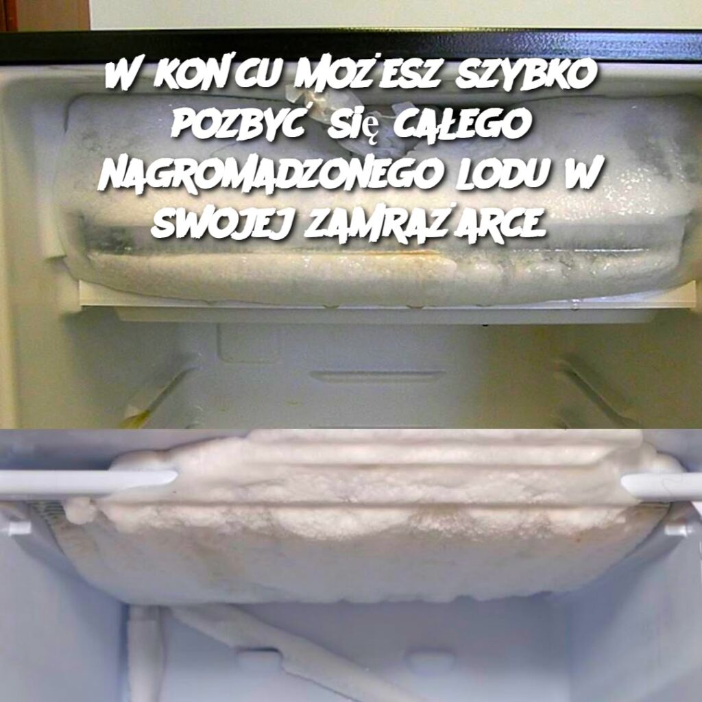 W_ko_cu_mo_esz_szybko_pozby__si__ca_ego_nagromadzonego_lodu_w_swojej_zamra_arce W_ko_cu_mo_esz_szybko_pozby__si__ca_ego_nagromadzonego_lodu_w_swojej_zamra_arce