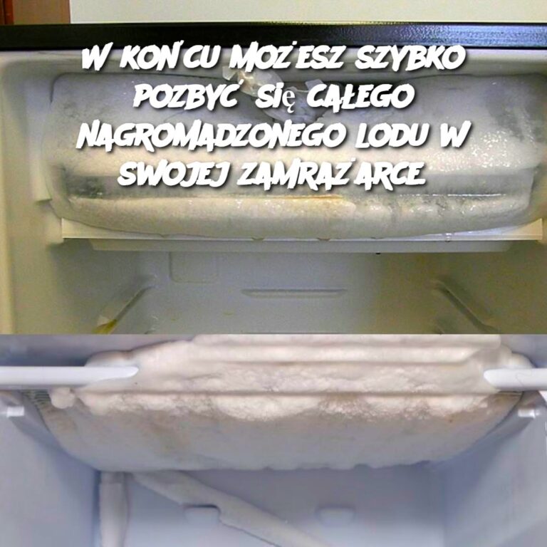 W_ko_cu_mo_esz_szybko_pozby__si__ca_ego_nagromadzonego_lodu_w_swojej_zamra_arce