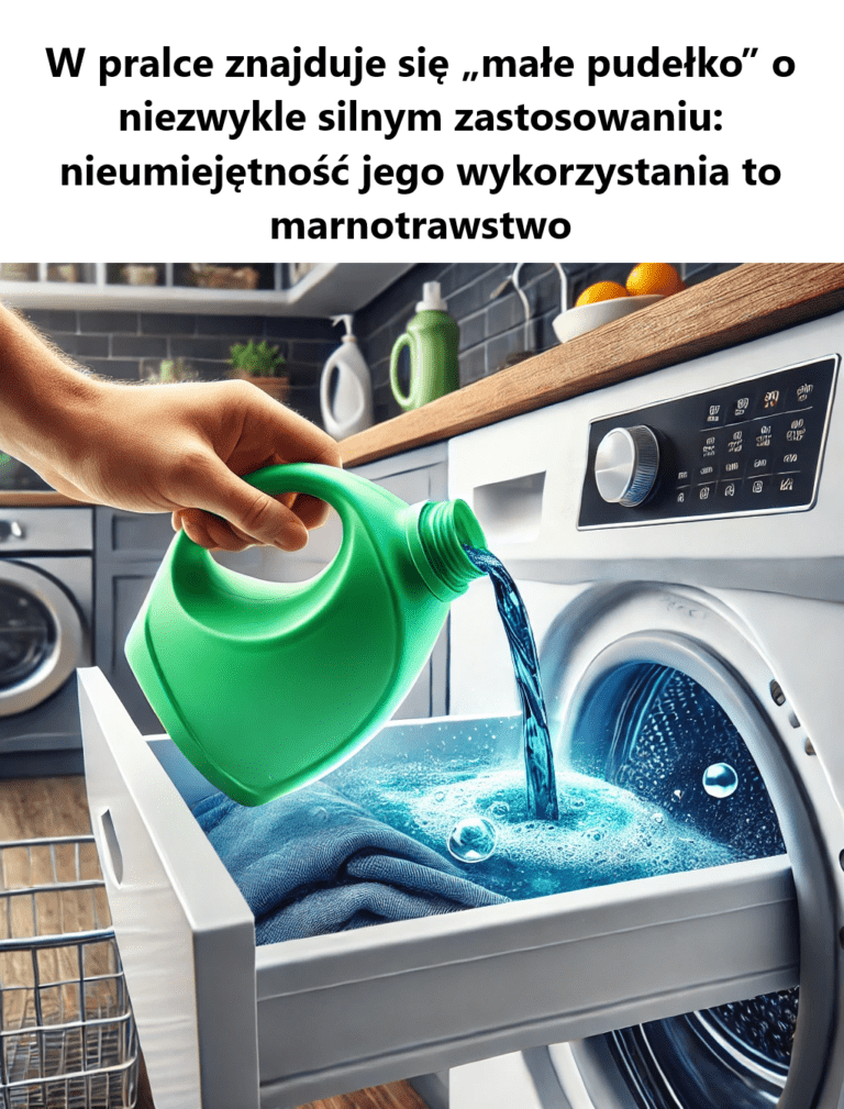 W_pralce_znajduje_si___ma_e_pude_ko__o_niezwykle_silnym_zastosowaniu__nieumiej_tno___jego_wykorzystania_to_marnotrawstwo