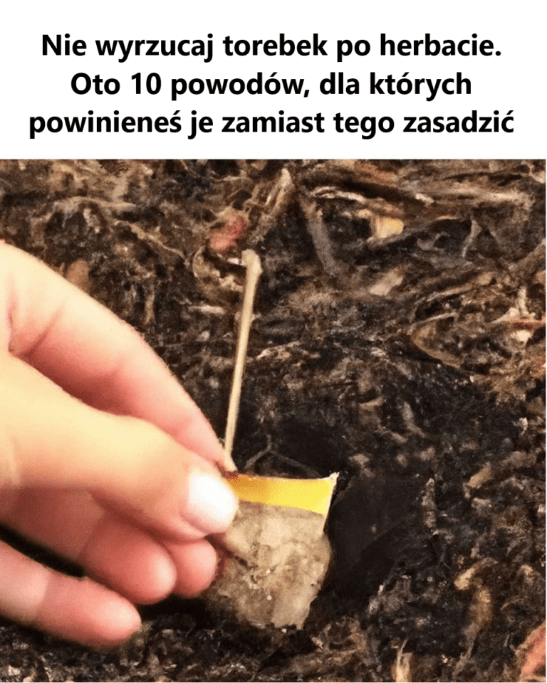 Wow__nigdy_wcze_niej_o_tym_nie_s_ysza_em__6_to_dla_mnie_nowo___