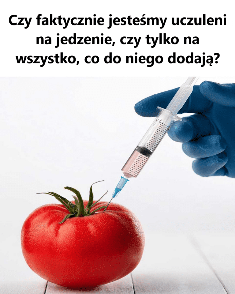 Wzrost_liczby_alergii_pokarmowych__Czy_jeste_my_uczuleni_na__ywno___czy_na_jej_nowoczesne_modyfikacje_