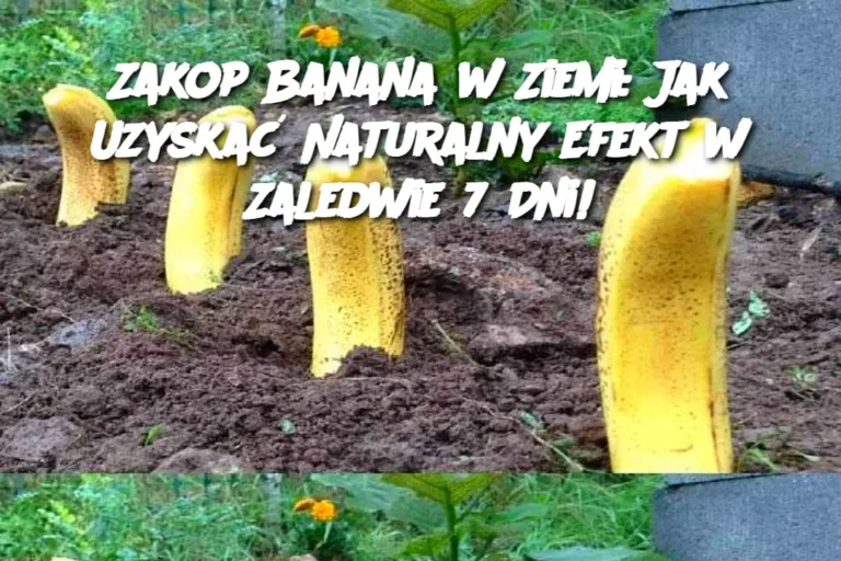 Zakop_Banana_w_Ziemi__Jak_Uzyska__Naturalny_Efekt_w_Zaledwie_7_Dni_