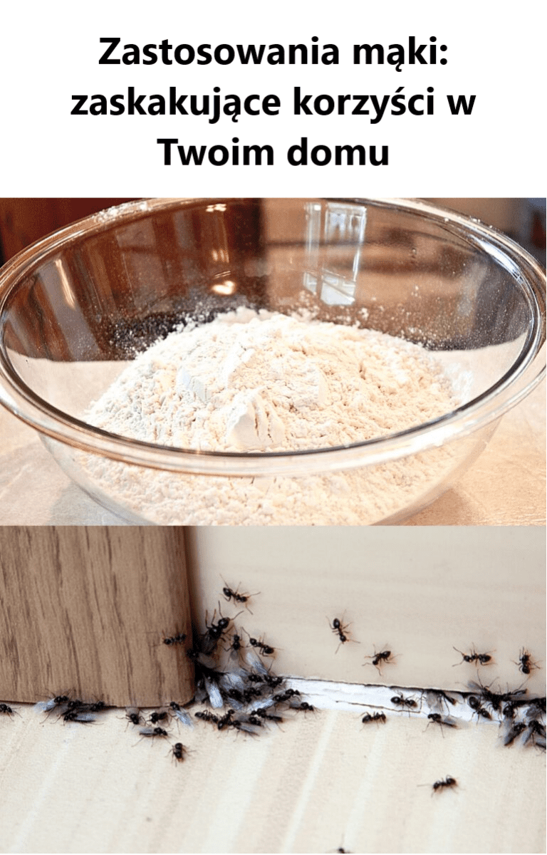 Zastosowania_m_ki__zaskakuj_ce_korzy_ci_w_Twoim_domu