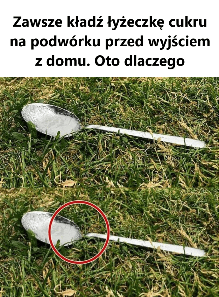 Zawsze_k_ad___y_eczk__cukru_na_podw_rku_przed_wyj_ciem_z_domu__Oto_dlaczego