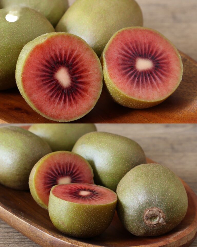 Czerwony_kiwi__czym_jest__sk_d_pochodzi_i_dlaczego_jest_tak_dobry_dla_Ciebie-1