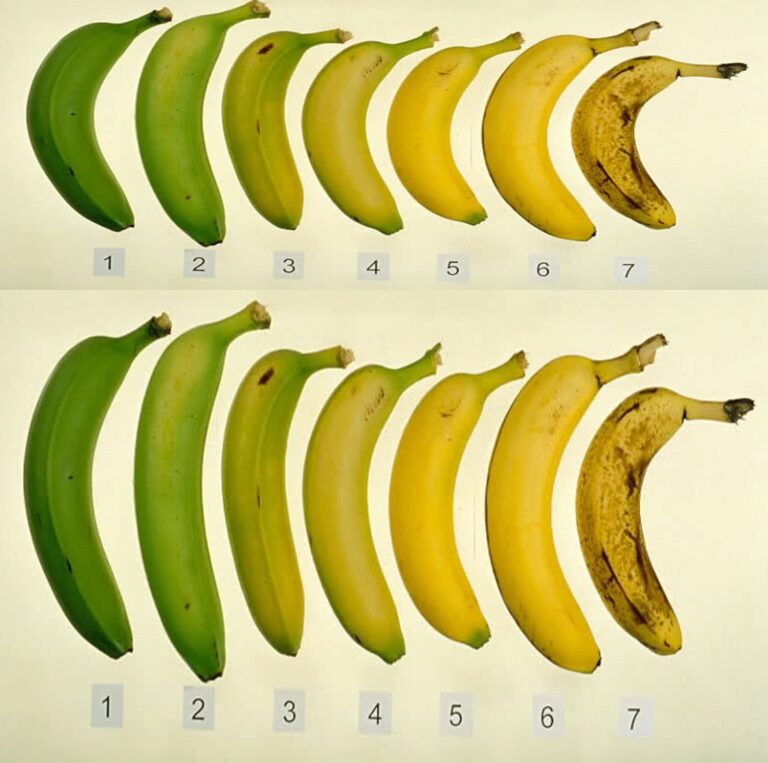 Czy_wiesz__kt_ry_z_tych_siedmiu_banan_w_jest_najlepszy_dla_Ciebie_i_Twojego_zdrowia_