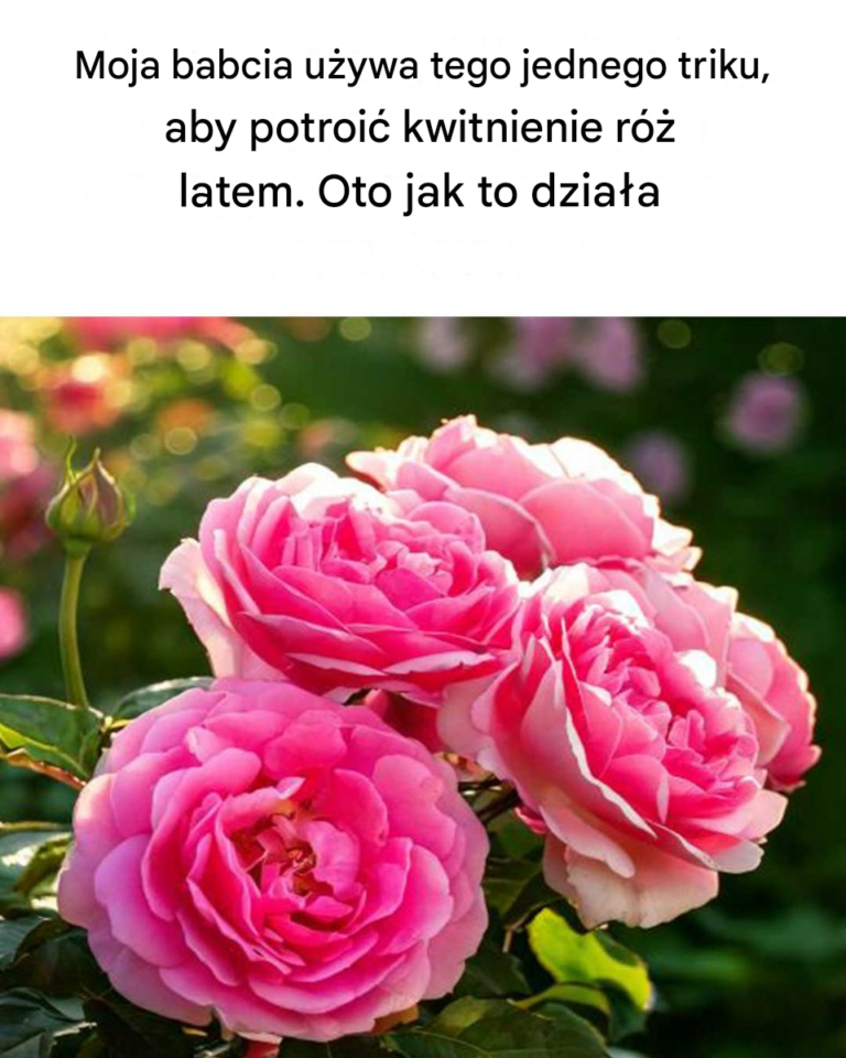 Fajna_technika