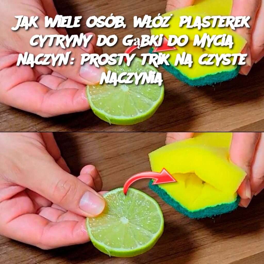 Jak_wiele_os_b__w____plasterek_cytryny_do_g_bki_do_mycia_naczy___Prosty_trik_na_czyste_naczynia Jak_wiele_os_b__w____plasterek_cytryny_do_g_bki_do_mycia_naczy___Prosty_trik_na_czyste_naczynia