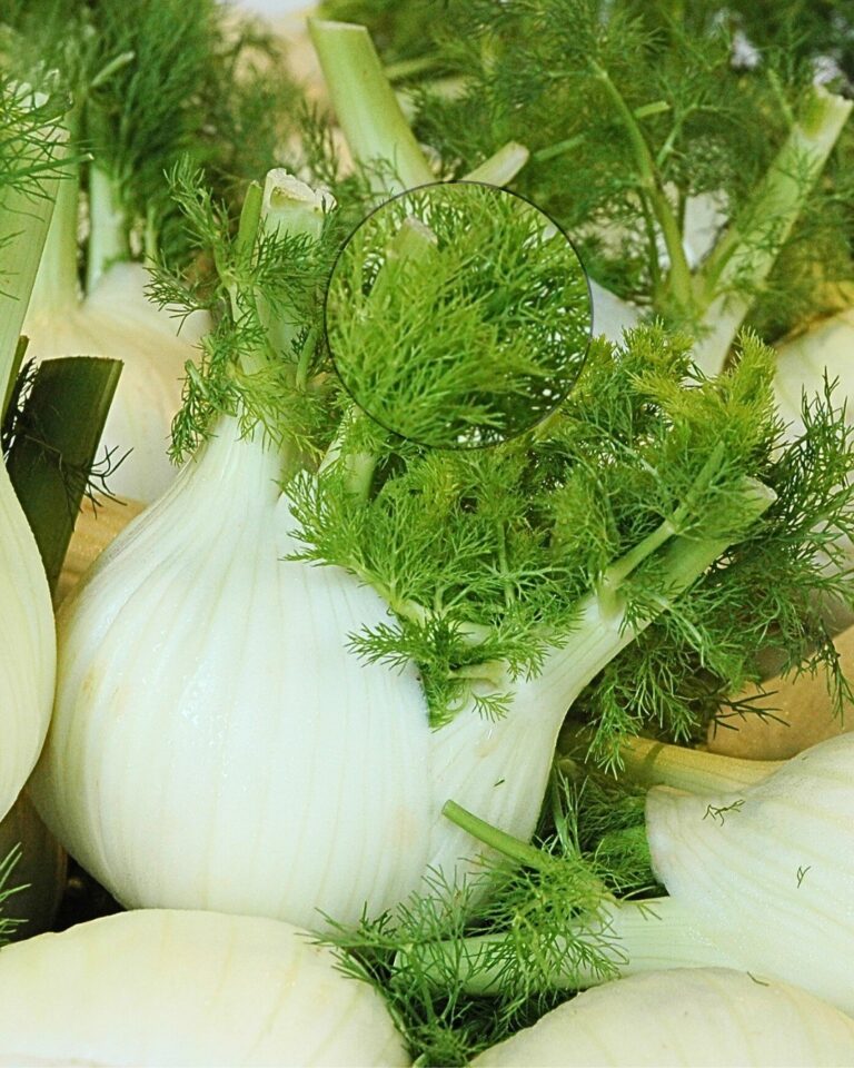 Jak_wykorzysta__li_cie_kopru_w_oskiego_w_kuchni__5_przepis_w_na_dania_zapobiegaj_ce_marnotrawstwu__kt_re_warto_wypr_bowa_