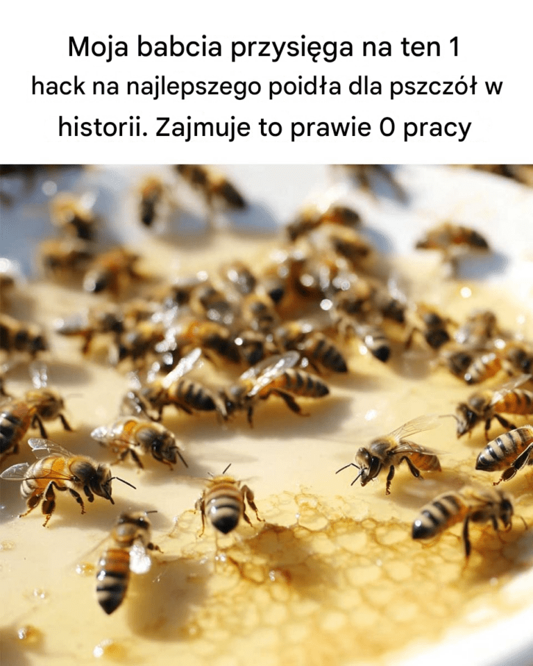 Kto_o_tym_nie_wiedzia__