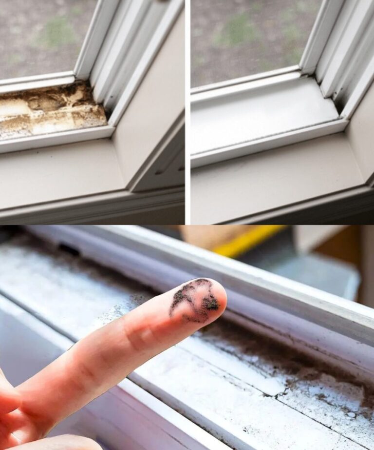 Nas_cz_wacik_i_przetrzyj_nim_wszystkie_ramy_okienne__ten_PROBLEM_w_Twoim_domu_nie_b_dzie_Ci__ju__wi_cej_niepokoi__-1