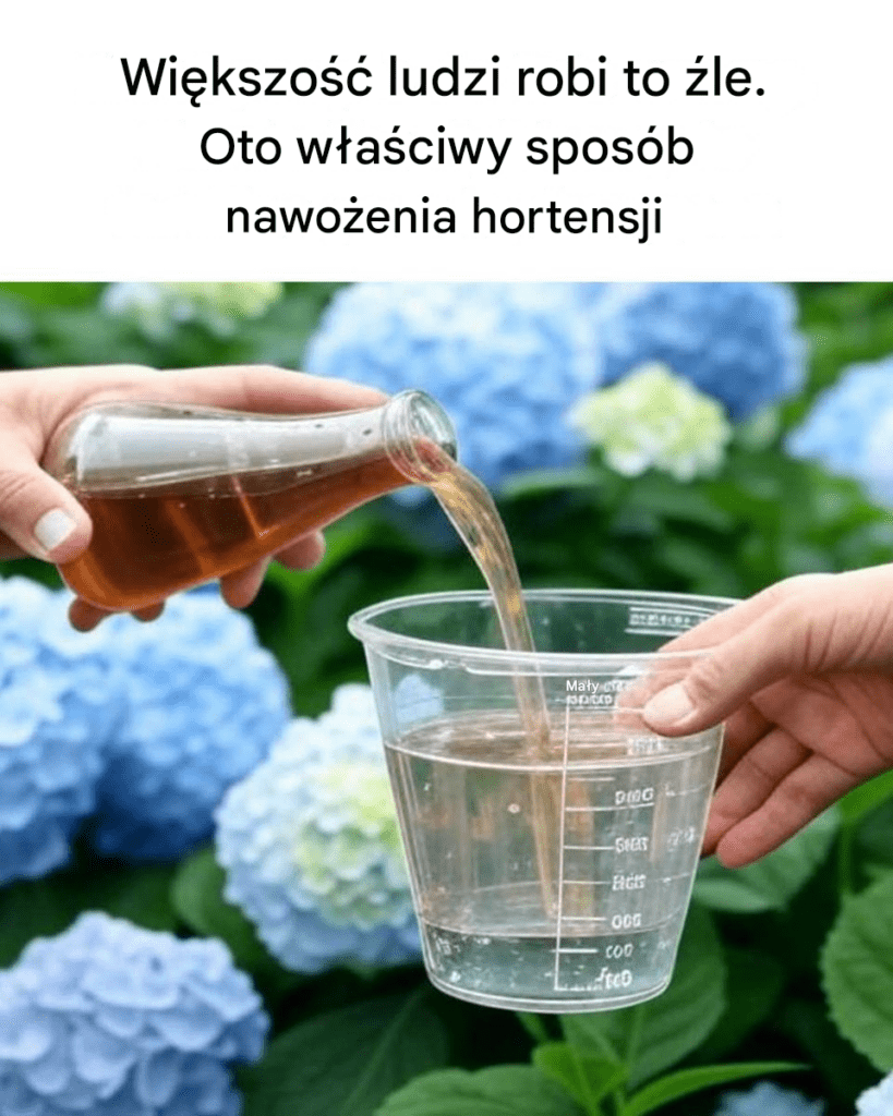 Nie_mog__uwierzy____e_przez_ca_y_ten_czas_robi_em_to__le-1 Nie_mog__uwierzy____e_przez_ca_y_ten_czas_robi_em_to__le-1