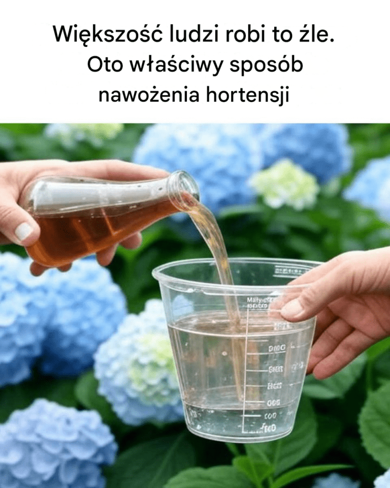 Nie_mog__uwierzy____e_przez_ca_y_ten_czas_robi_em_to__le
