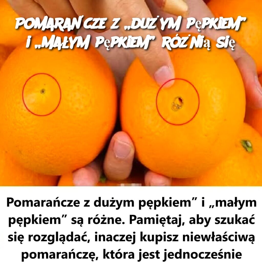 Pomara_cze_z__du_ym_p_pkiem__i__ma_ym_p_pkiem__r__ni__si_ Pomara_cze_z__du_ym_p_pkiem__i__ma_ym_p_pkiem__r__ni__si_