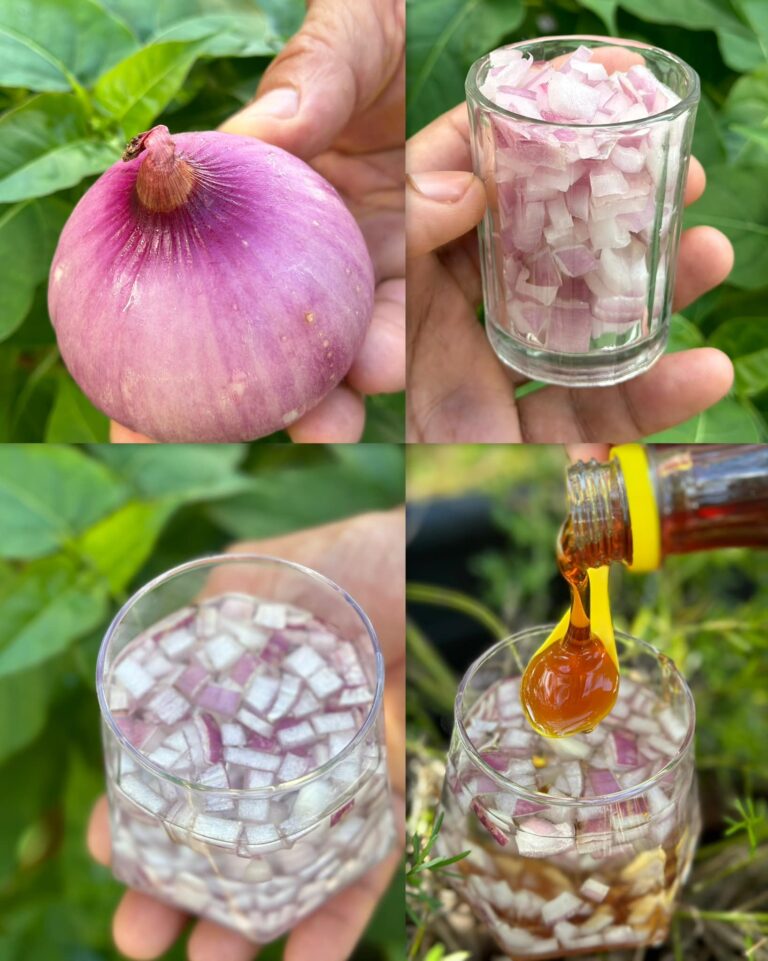 Zosta__samcem_alfa_na_ca___noc_dzi_ki_tej_pot__nej_naturalnej_mieszance
