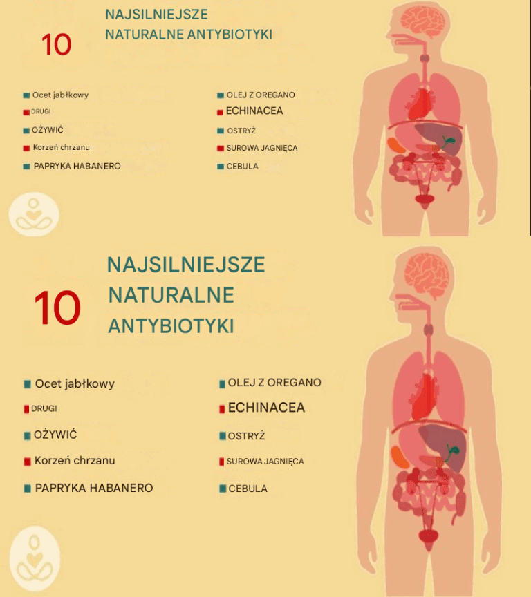10_najskuteczniejszych_naturalnych_antybiotyk_w_znanych_ludzko_ci