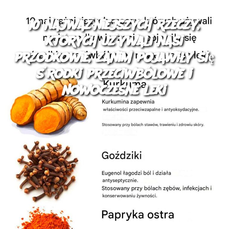 10_najwa_niejszych_rzeczy__kt_rych_u_ywali_nasi_przodkowie__zanim_pojawi_y_si___rodki_przeciwb_lowe_i_nowoczesne_leki
