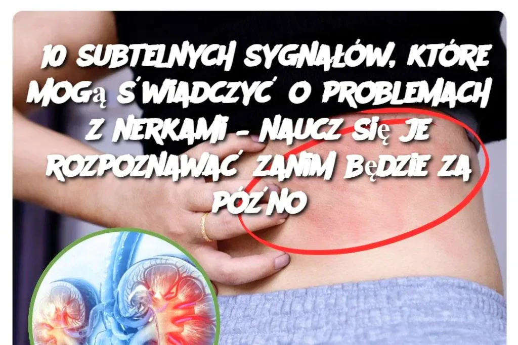 10_subtelnych_sygna__w__kt_re_mog___wiadczy__o_problemach_z_nerkami___naucz_si__je_rozpoznawa__zanim_b_dzie_za_p__no 10_subtelnych_sygna__w__kt_re_mog___wiadczy__o_problemach_z_nerkami___naucz_si__je_rozpoznawa__zanim_b_dzie_za_p__no