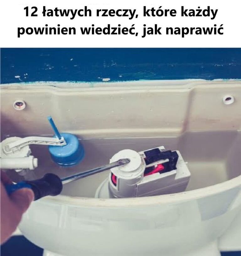 12_prostych_rzeczy__kt_re_ka_dy_powinien_umie__naprawi_
